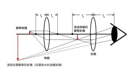 凹透鏡應用|光學顯微鏡原理及其應用